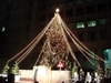 大阪市庁舎前「ザ・ワールドリンキングツリー2008」
